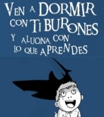 Dormir con Tiburones en el Oceanografico en Valencia
