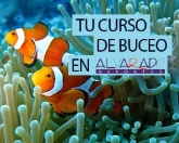 Quieres conocer el fondo del mar...? En Deportes Alvarado te esperan. en Valencia