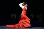 Quart de Poblet.  FLAMENCO "CUADRO FLAMENCO LA LUPI"