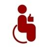 Aldaia.  Día Internacional de las Personas con Discapacidad