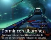 Dormir con tiburones
