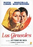 Torrent.  Película “Los girasoles” Ciclo Divendres de Cine