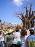Expedición Cumpleaños en BIOPARC Valencia