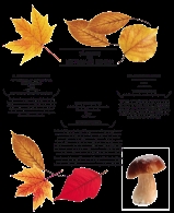 Otoño en el museo de Paterna