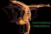 Ortopedia Fresneda