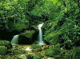 Crea Natura Soluciones Ambientales