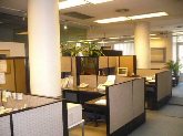 V.F Seguridad y Alarmas
