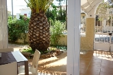 Restaurante Arrocería Oryza