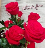 La Casita de las Flores
