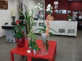 La Casita de las Flores
