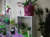 La Casita de las Flores