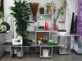 La Casita de las Flores
