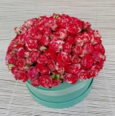 La Casita de las Flores