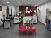 La Casita de las Flores