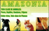 Tienda de Animales Amazonia