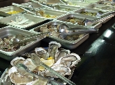 Wok Buffet Libre Restaurante Aldaia