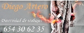 Diego Artero