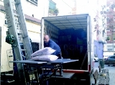 Transportes David