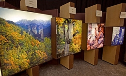 Exposición "El bosque. Mucho más que madera"