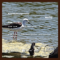 Día Internacional de las Aves Migratorias en el Clot de Galvany