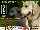 I Concurso canino de Elche