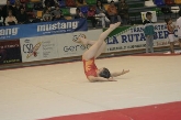 Campeonato de España de Gimnasia Artística