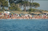 IX Travesia a nado Playa Pinet - La Marina