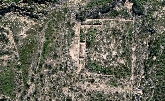 EL CASTELLAR. EL ORIGEN ISLÁMICO DEL ELCHE MEDIEVAL