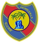 Femesala Elche - FSF Móstoles
