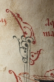 Signes de Vida. La Ciutat Medieval