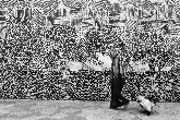 MUROS VIVOS Una re-creación fotográfica del graffiti.