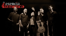 Esencia flamenca