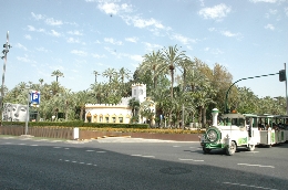 Visitas guiadas en Elche