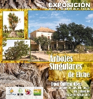 “Árboles singulares de Elche”