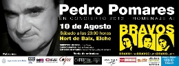Pedro Pomares en Concierto. Homenaje a Bravos