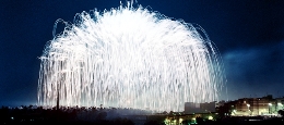 Nit de l'Albà 2013 en Elche