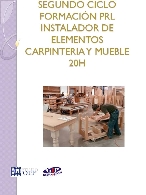 SEGUNDO CICLO FORMACIÓN PRL INSTALADOR DE ELEMENTOS CARPINTERIA Y MUEBLE 20H
