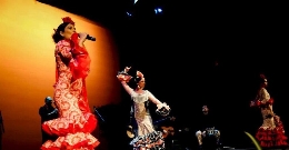 Flamenco Pura Sangre. Cante y baile flamenco.