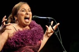Montse Cortés. Flamencas en la Sombra.