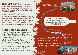 Excursión Ruta del Vino Casa Cesilia