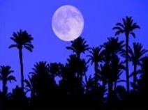 Noches de verano en el Hort de Baix