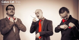 Concierto de Caius Cat Trio