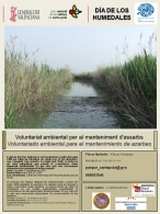 Voluntariado Ambiental para el mantenimiento de azarbes