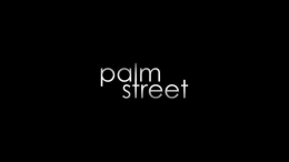 Concierto de Palm Street en Sinergia
