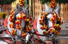 IX Feria Andaluza de Elche