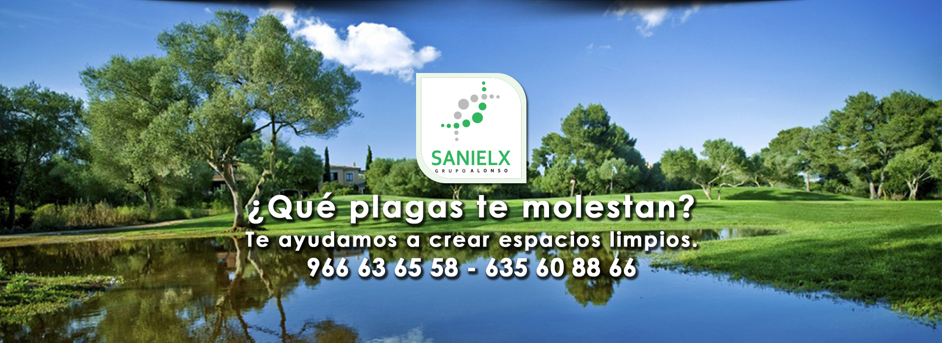 Control de plagas en Alicante Sanielx