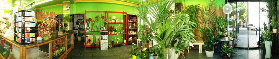 Margarita Floristerias Elche