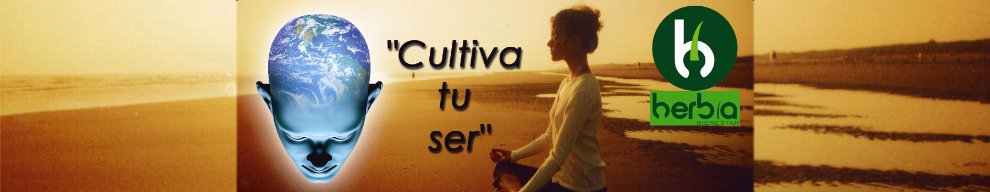 Herbia Bienestar Meditación y Yoga en Elche