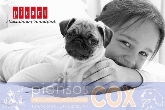 PIENSOS COX & Comida y complementos para mascotas