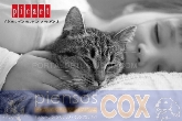 PIENSOS COX & Comida y complementos para mascotas